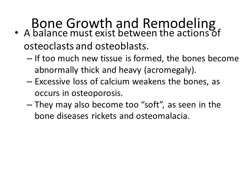 Bone Growth and Remodeling Interactions Animation - ppt video online  download
