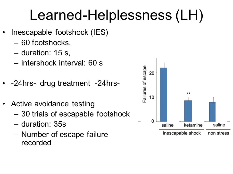 Learned-Helplessness (LH)
