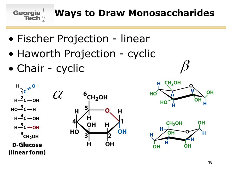 Fischer Projection - linear. 