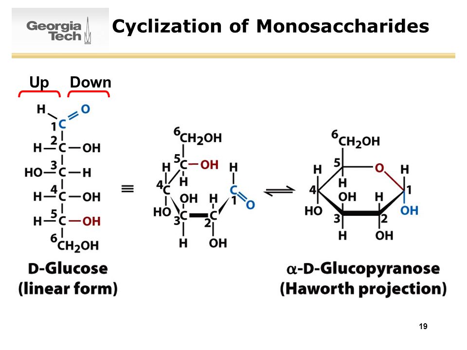 Cyclization of Monosaccharides