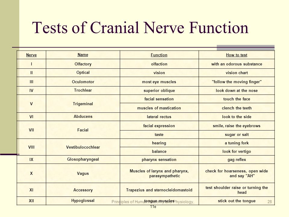 12 Cranial Nerves Chart