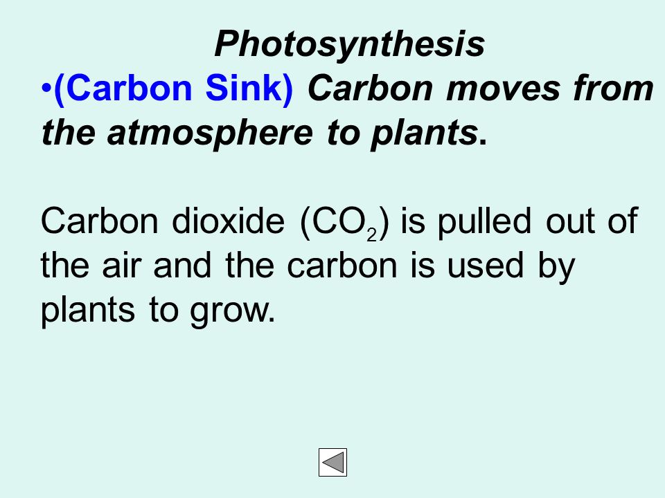 The Carbon Cycle The Movement Of Carbon Between The 4
