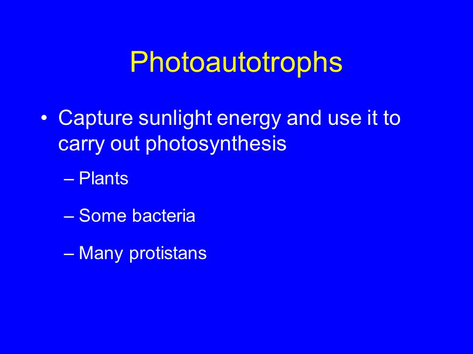 Photoautotrophs Capture sunlight energy and use it to carry out photosynthesis. Plants. Some bacteria.