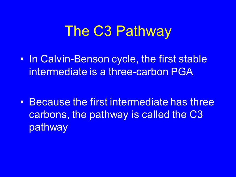 The C3 Pathway In Calvin-Benson cycle, the first stable intermediate is a three-carbon PGA.