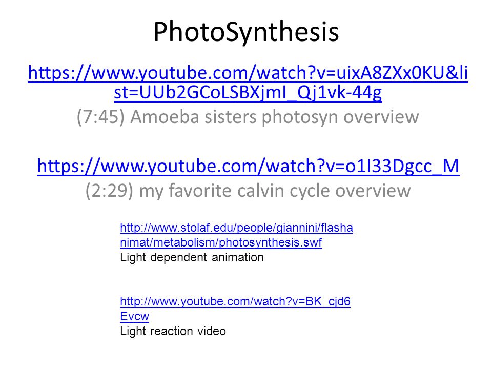 Photosynthesis Handout Made By The Amoeba Sisters Click To