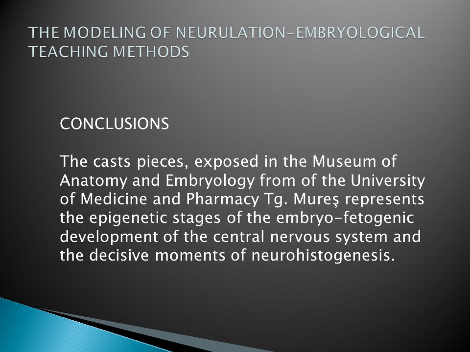 THE MODELING OF NEURULATION-EMBRYOLOGICAL TEACHING METHODS
