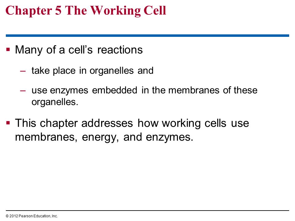 Chapter 5 The Working Cell