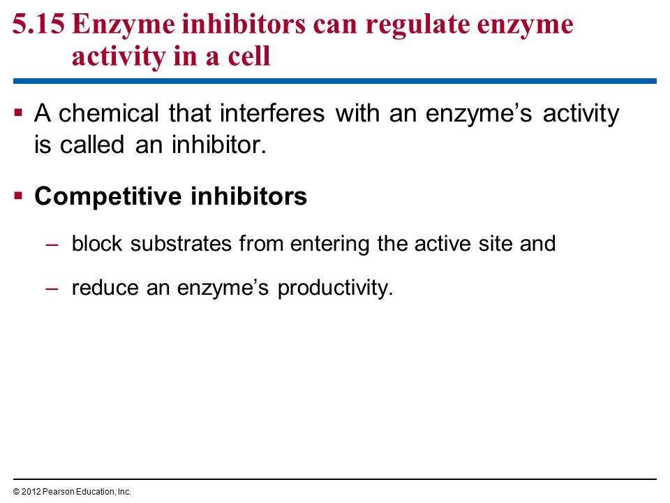 5.15 Enzyme inhibitors can regulate enzyme activity in a cell