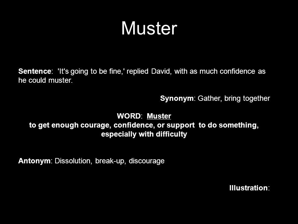 Muster synonym