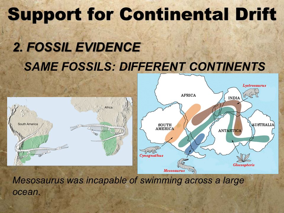 Support for Continental Drift