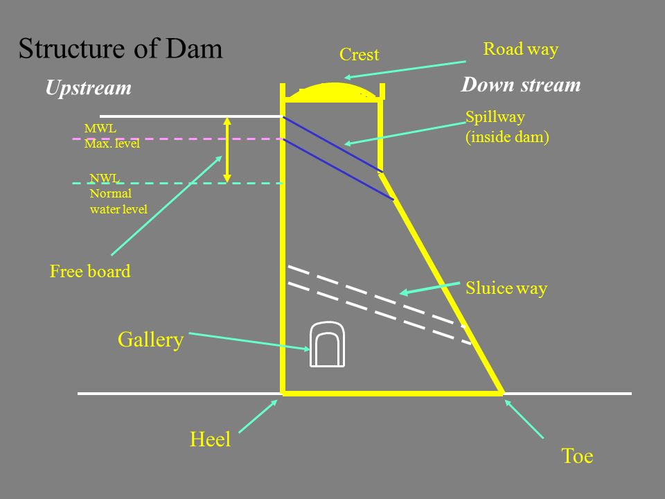 Components of Gravity Dam | Parapet Wall | Crest | Spillway l Free board |  Drainage gallery - YouTube