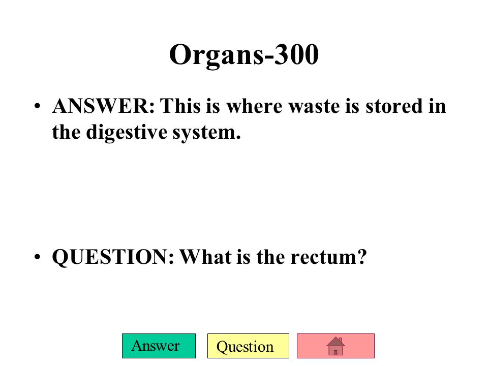 Organs-300 ANSWER: This is where waste is stored in the digestive system.
