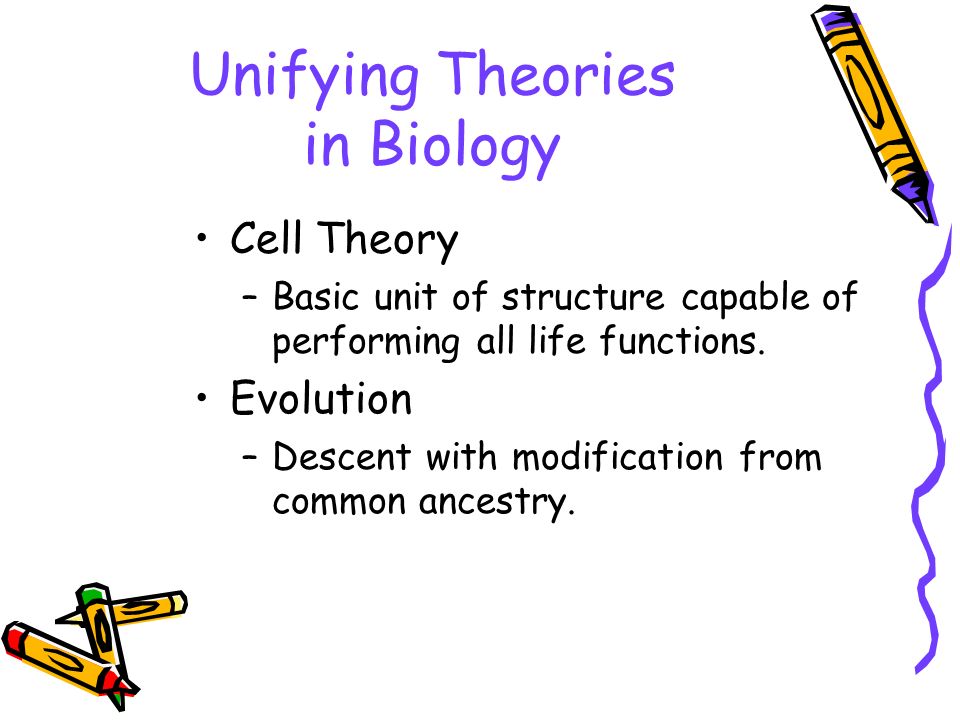 Unifying Theories in Biology