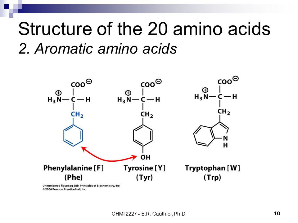 Structure of the 20 amino acids 2. Aromatic amino acids