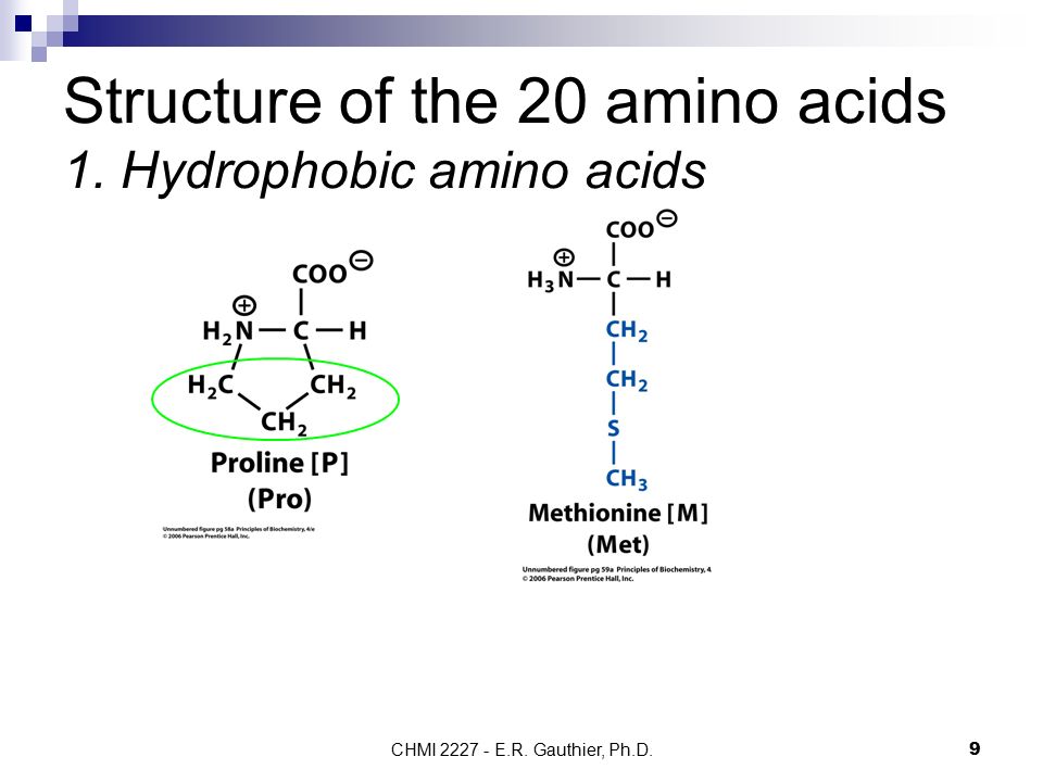 Structure of the 20 amino acids 1. Hydrophobic amino acids
