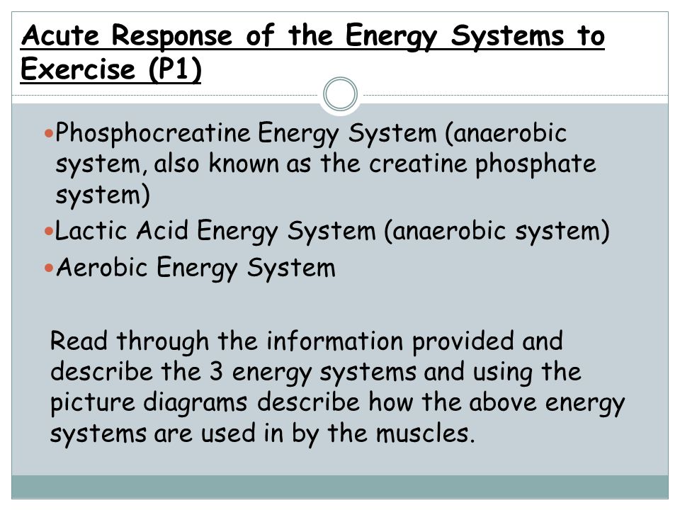 Acute Response of the Energy Systems to Exercise (P1)