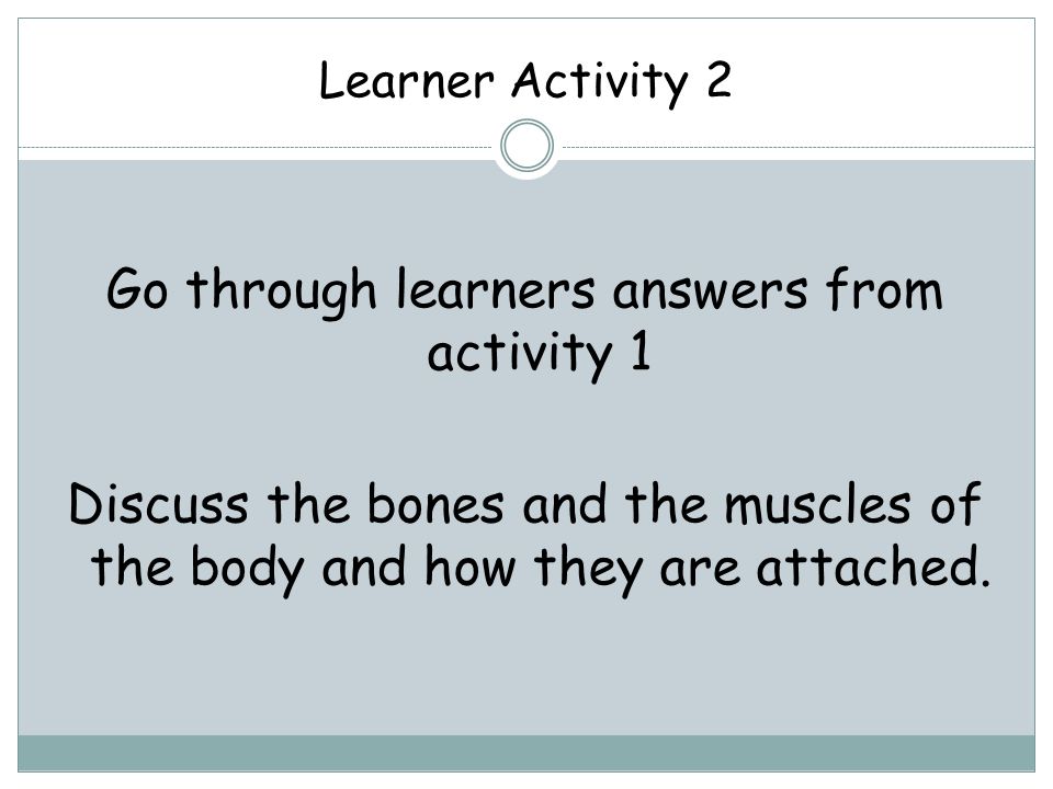 Learner Activity 2 Go through learners answers from activity 1 Discuss the bones and the muscles of the body and how they are attached.