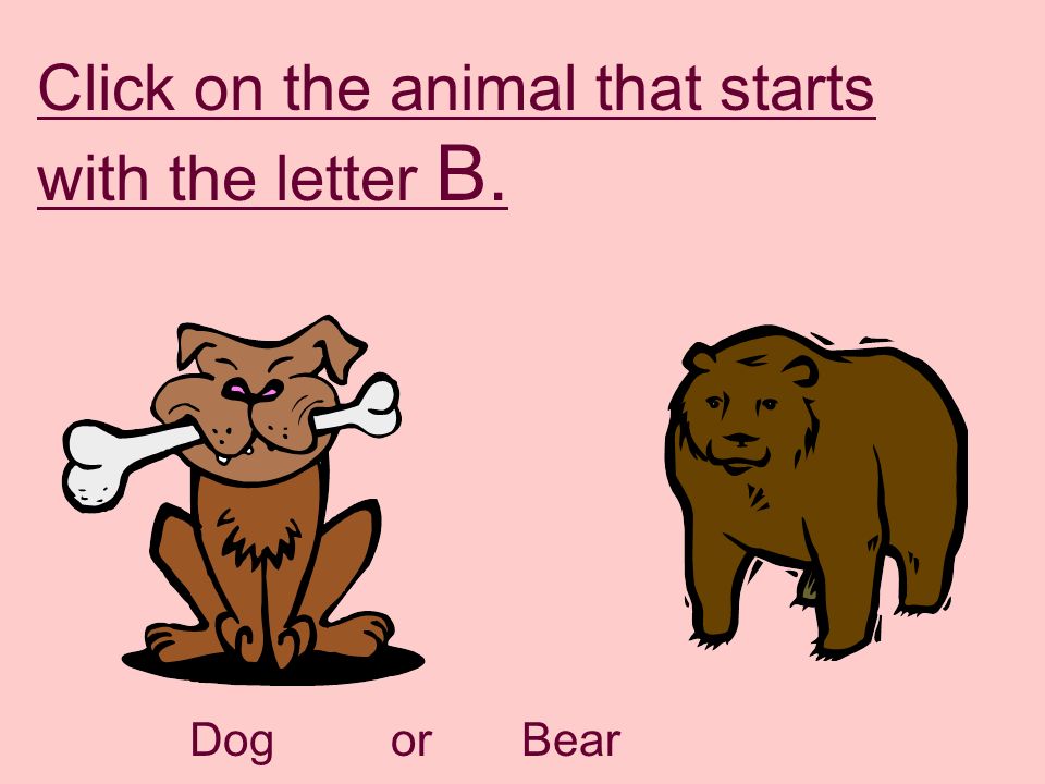 Alphabet Fun with Animals - ppt download