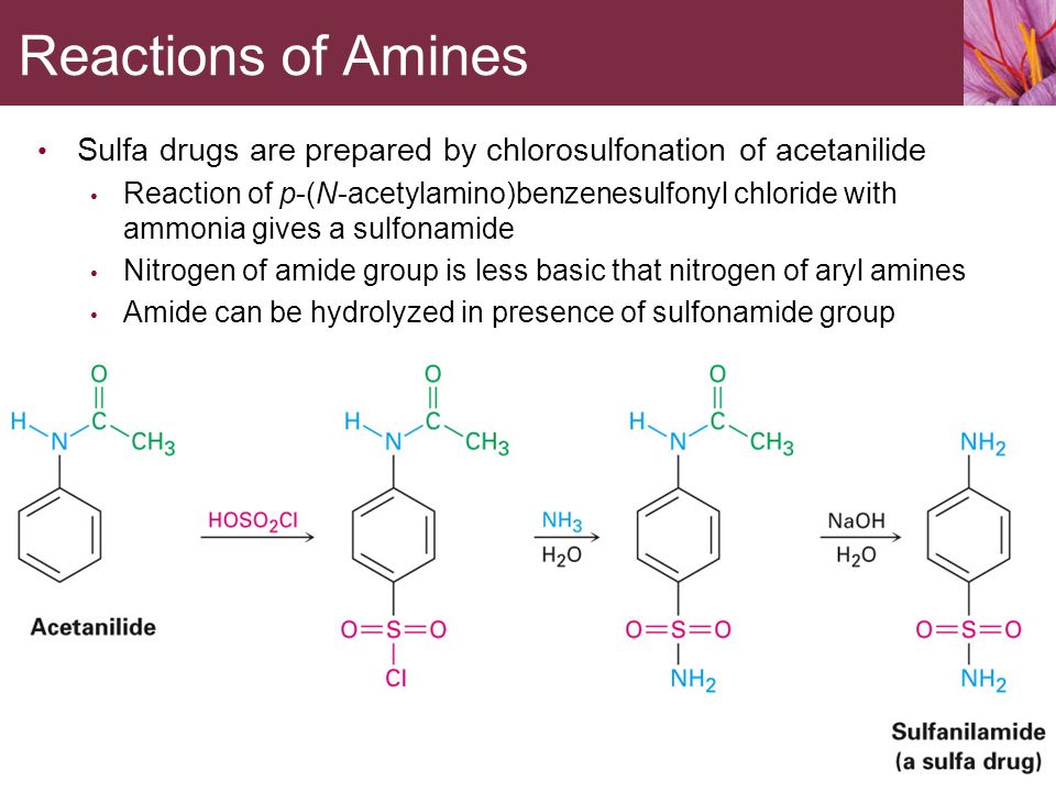 Reactions of Amines Sulfa drugs are prepared by chlorosulfonation of acetan...