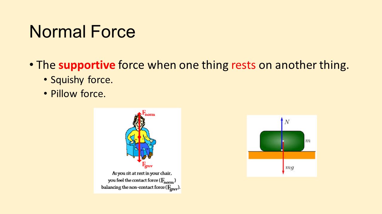 Normal Force The supportive force when one thing rests on another thing.