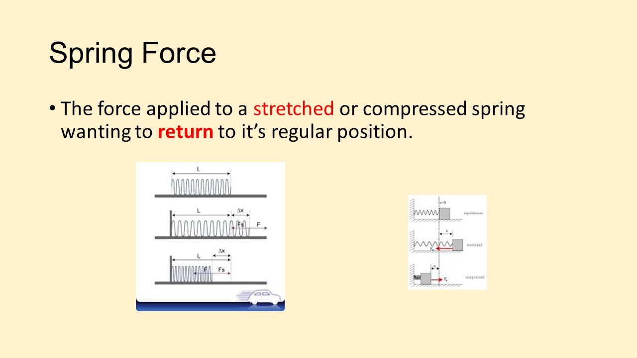Spring Force The force applied to a stretched or compressed spring wanting to return to it’s regular position.