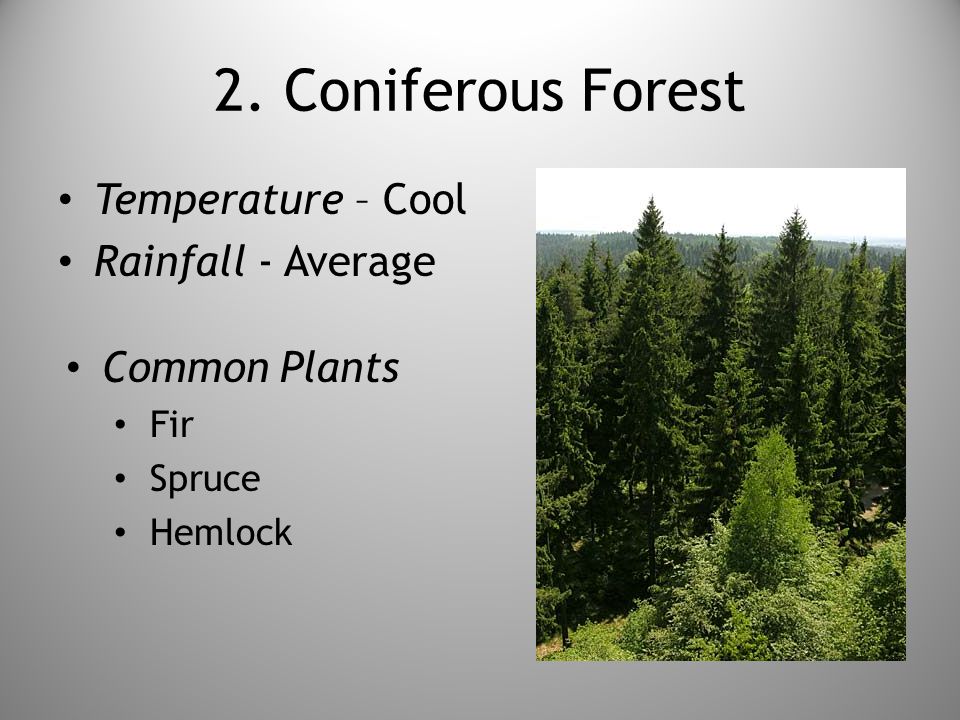 Biomes Study Guide Review Ppt Download