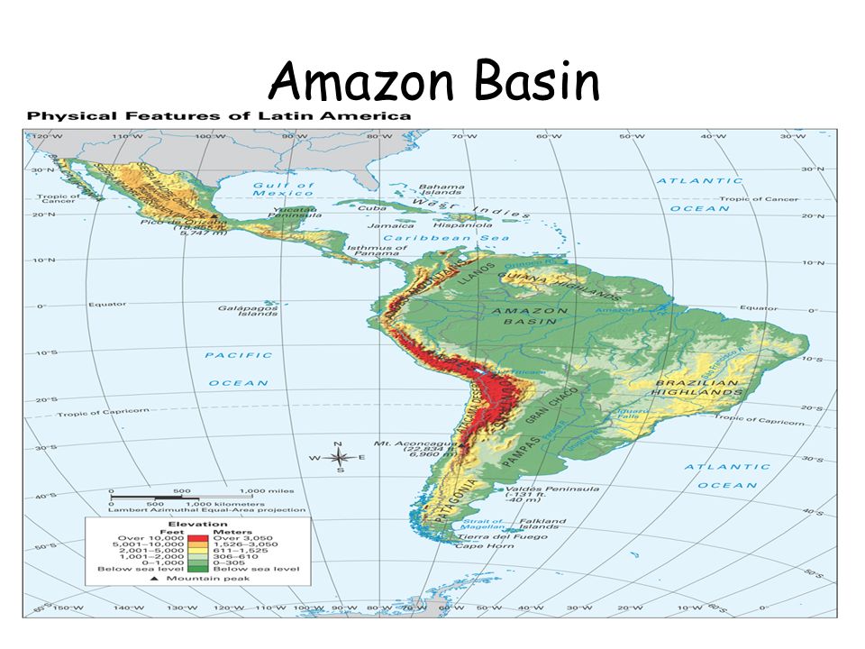 Objective Tsw Describe The Biodiversity Of The Amazon River Basin