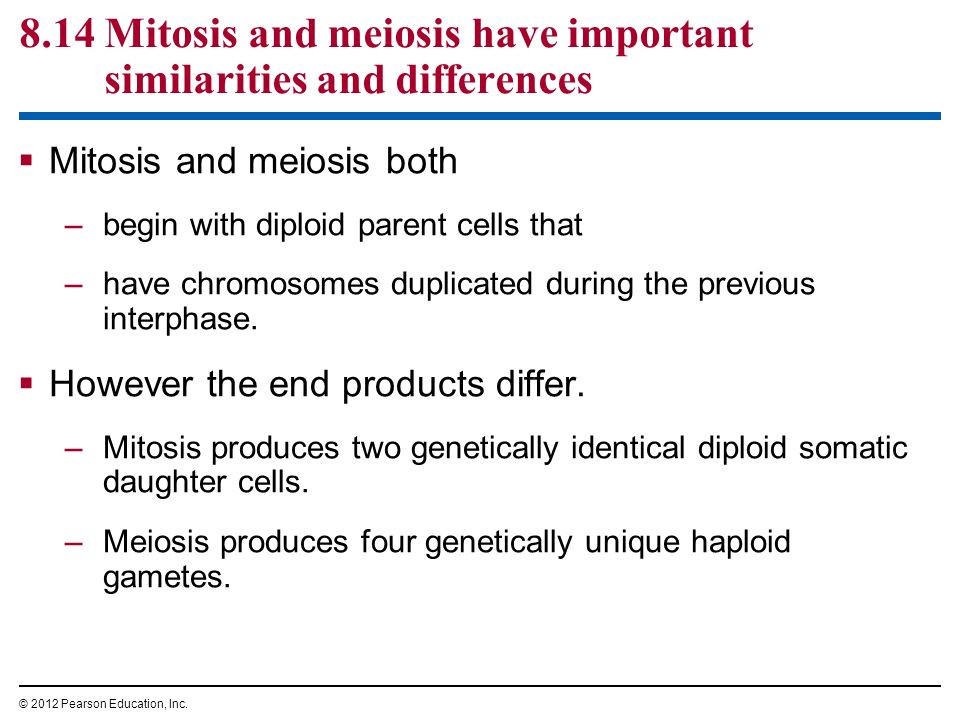 Chapter 8 The Cellular Basis Of Reproduction And Inheritance Ppt Download