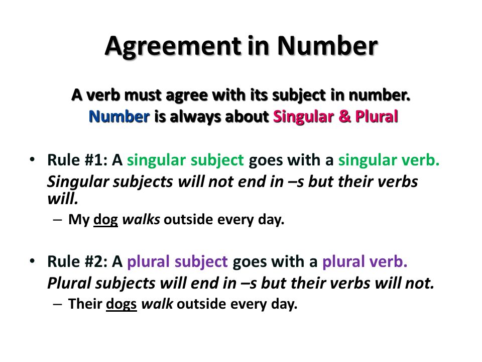 Agreement in Number A verb must agree with its subject in number.