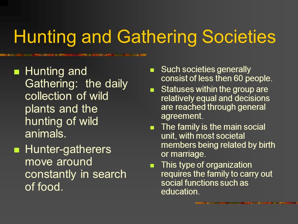 what is hunting and gathering society