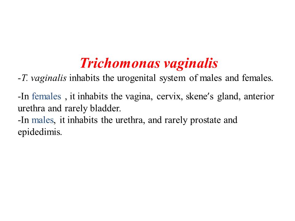 Trichomonas ami befolyásolja)