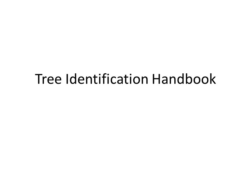 Tree Identification Handbook