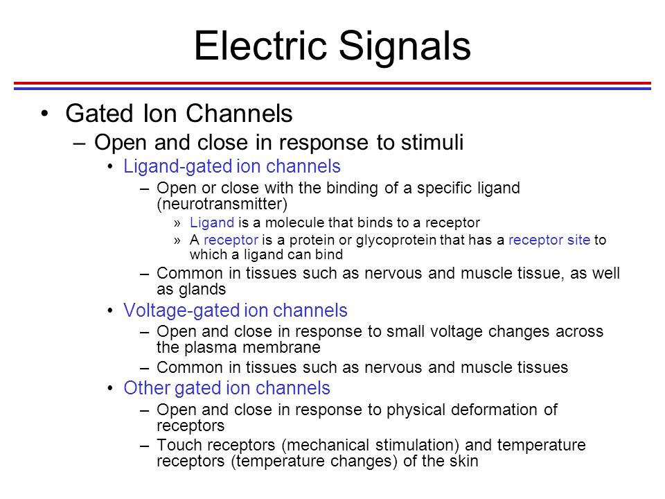 Electric Signals Gated Ion Channels