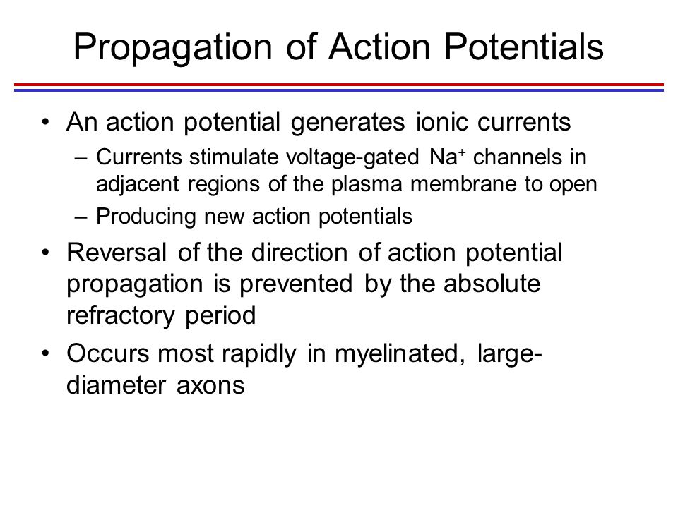 Propagation of Action Potentials