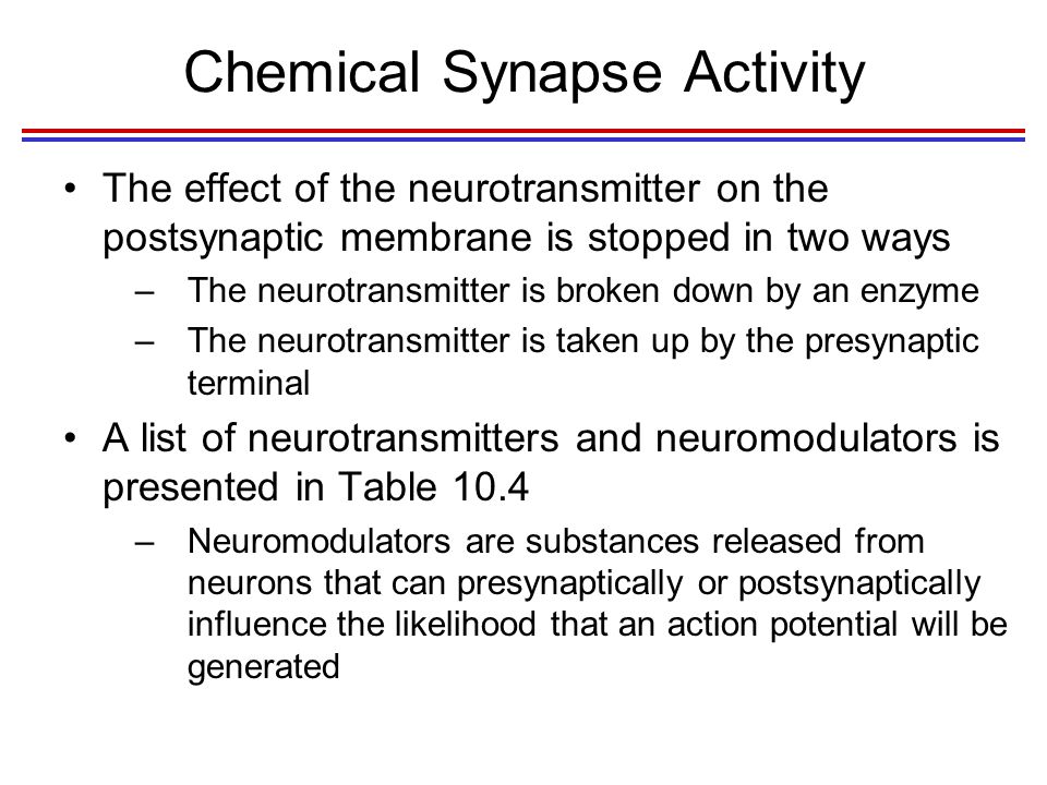 Chemical Synapse Activity