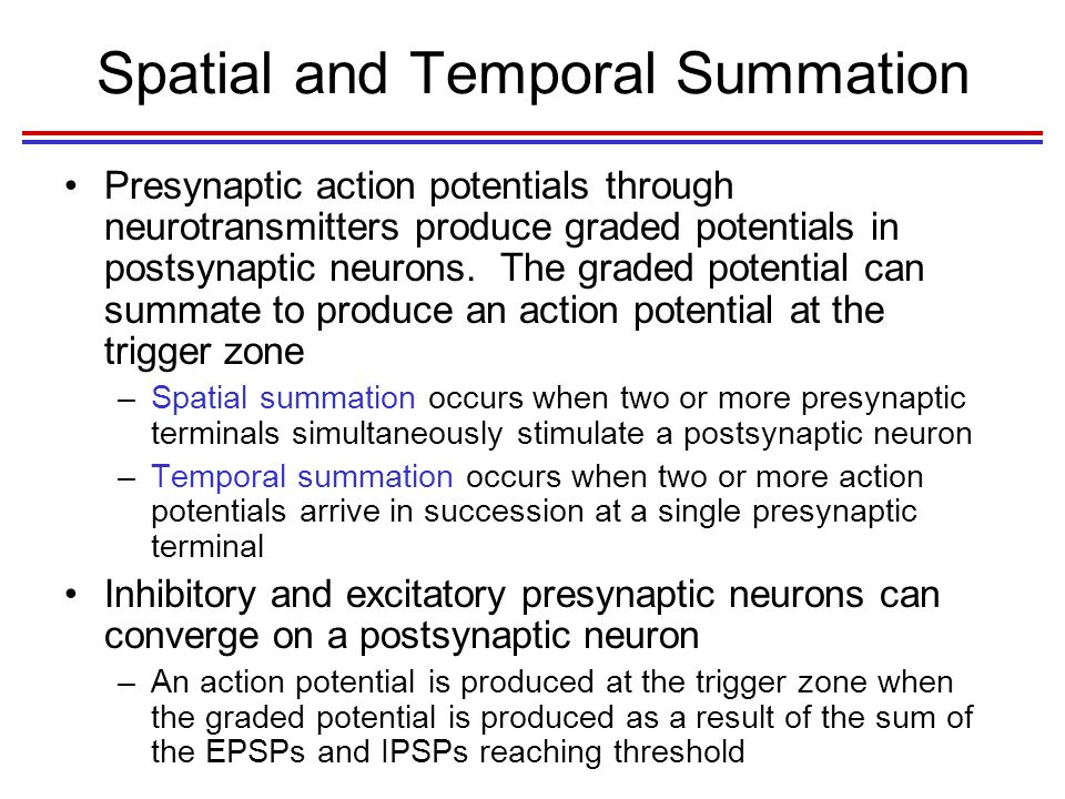 Spatial and Temporal Summation