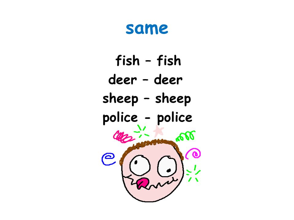same fish – fish deer – deer sheep – sheep police - police