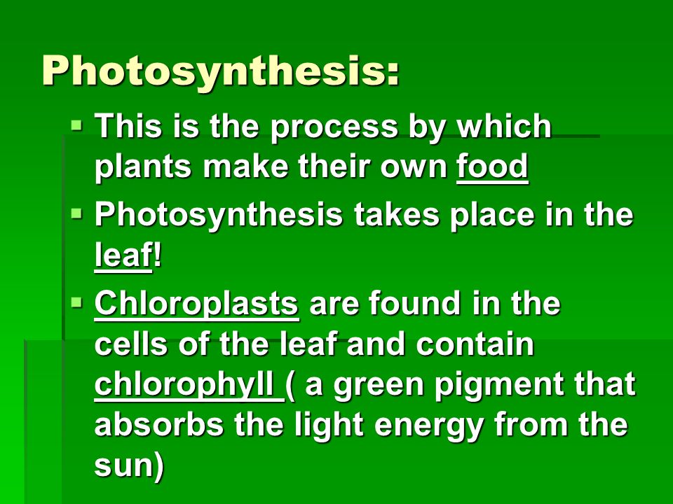 Photosynthesis, Respiration and Transpiration - ppt download