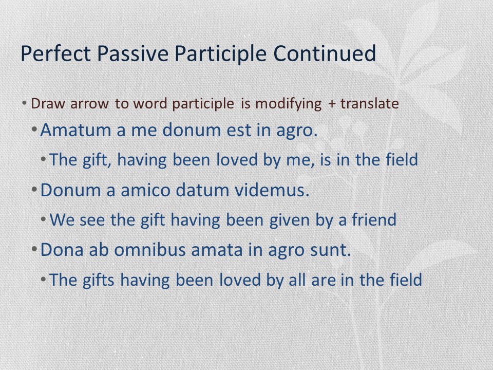 Perfect Passive Participle Continued