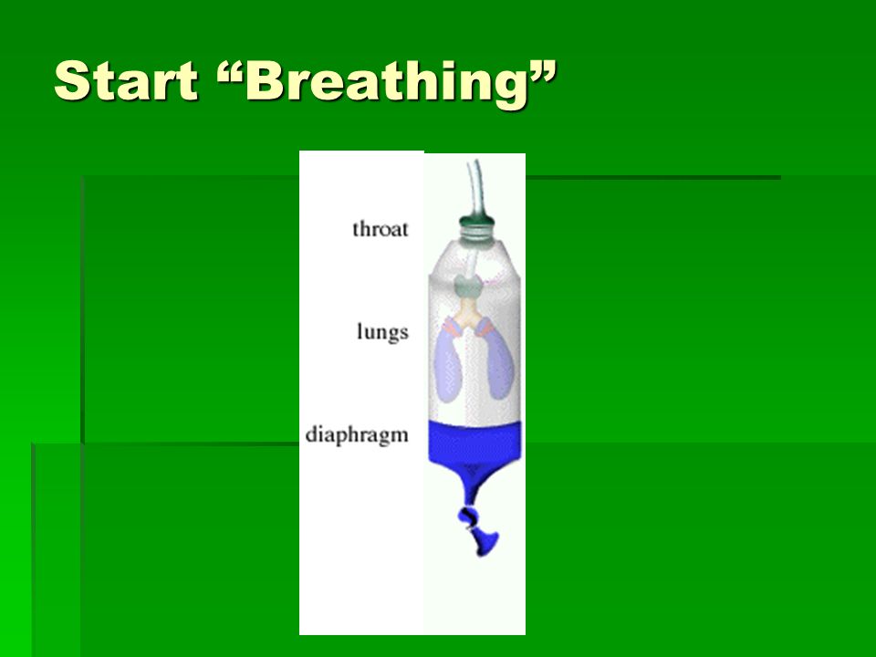 Start Breathing