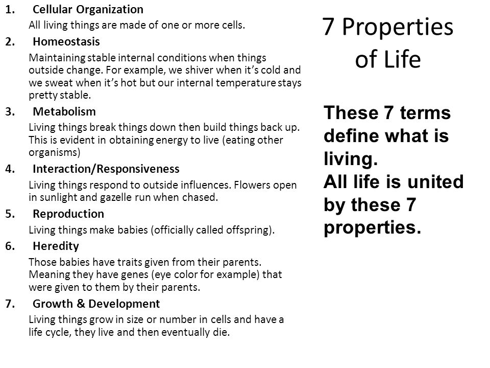 the seven properties of life