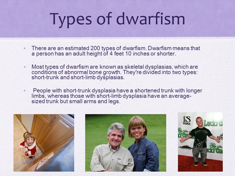 Of dwarfs types List of