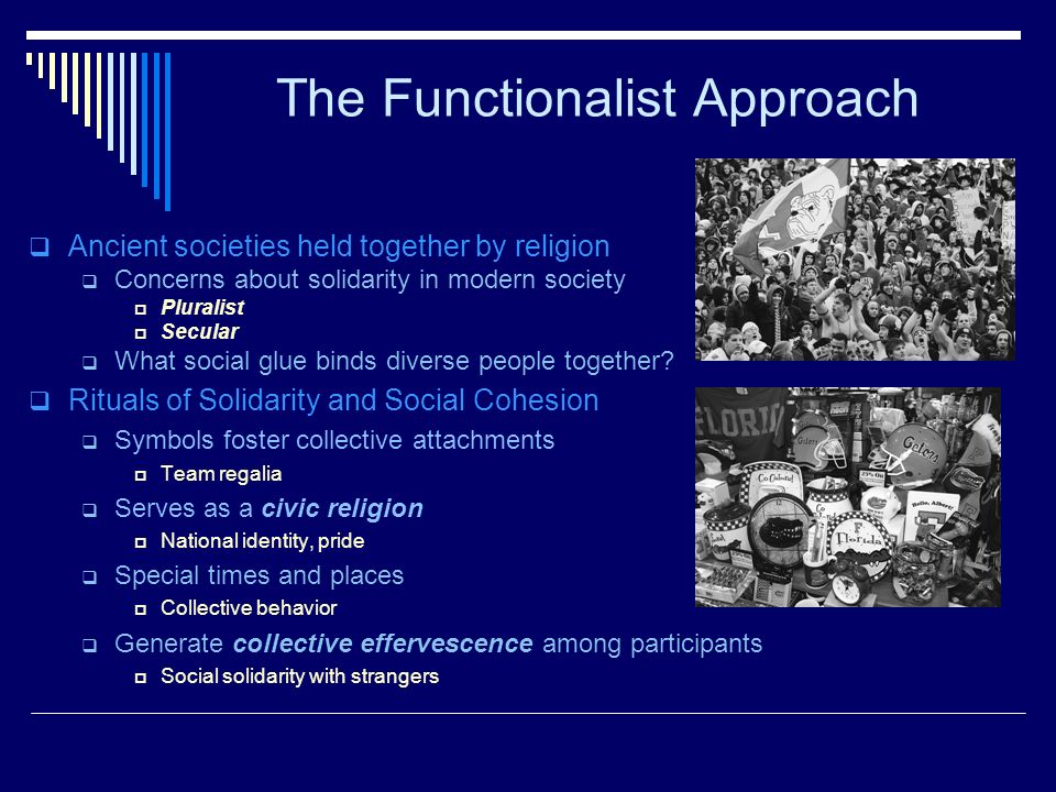 The Functionalist Approach
