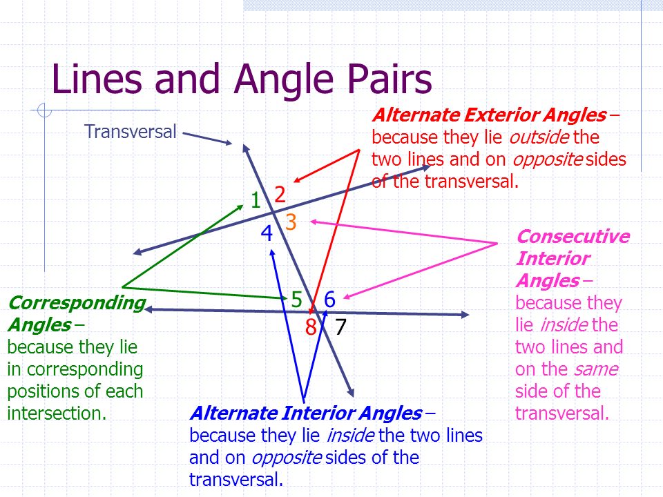 Perpendicular And Parallel Lines Ppt Video Online Download