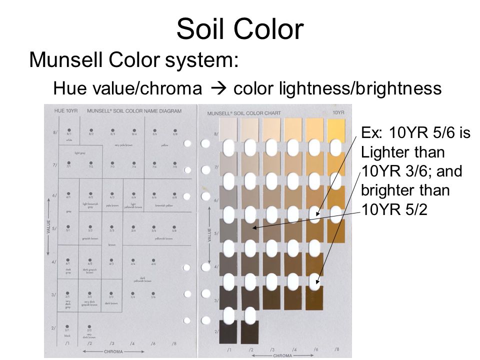 Munsell Soil Color Chart Online