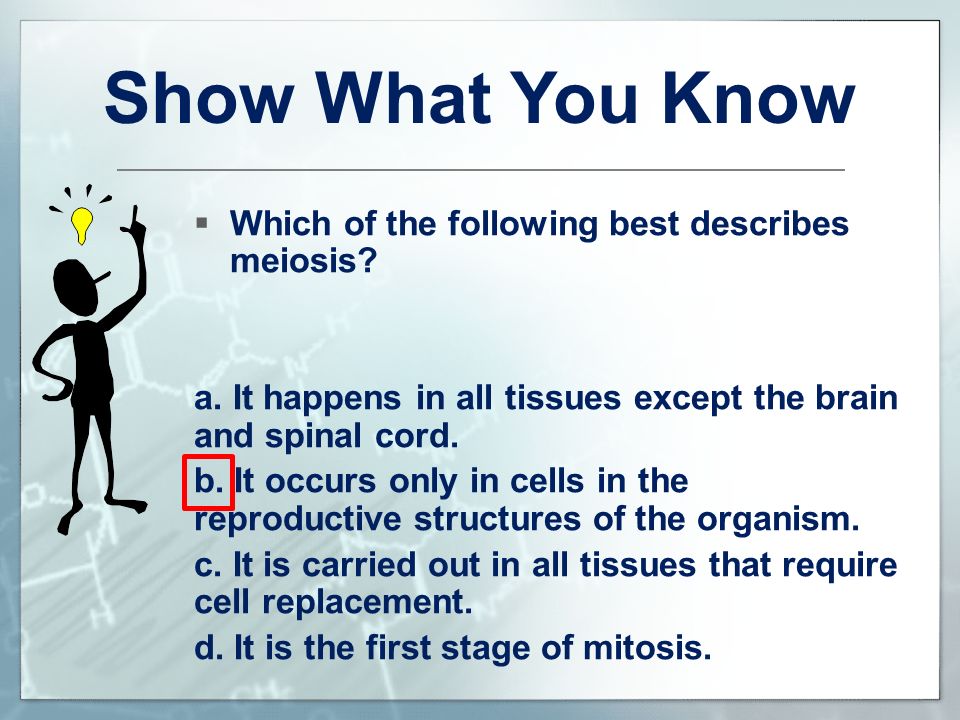 which phrase best describes the process of meiosis