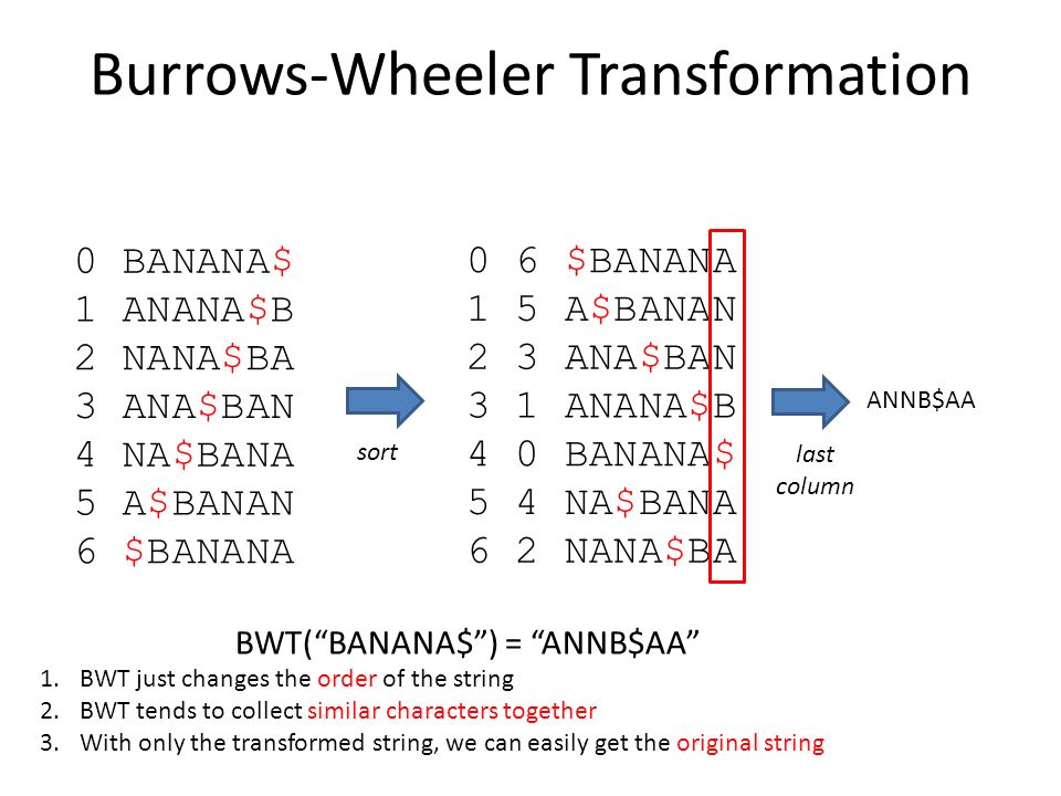 Burrows-Wheeler Transformation