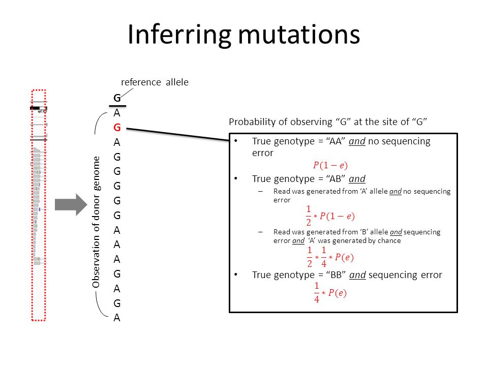 Inferring mutations G AGAGGGGGAAAGAGA reference allele