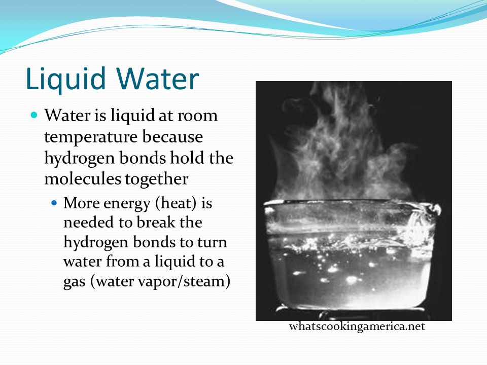 Chemical Oceanography Ppt Download