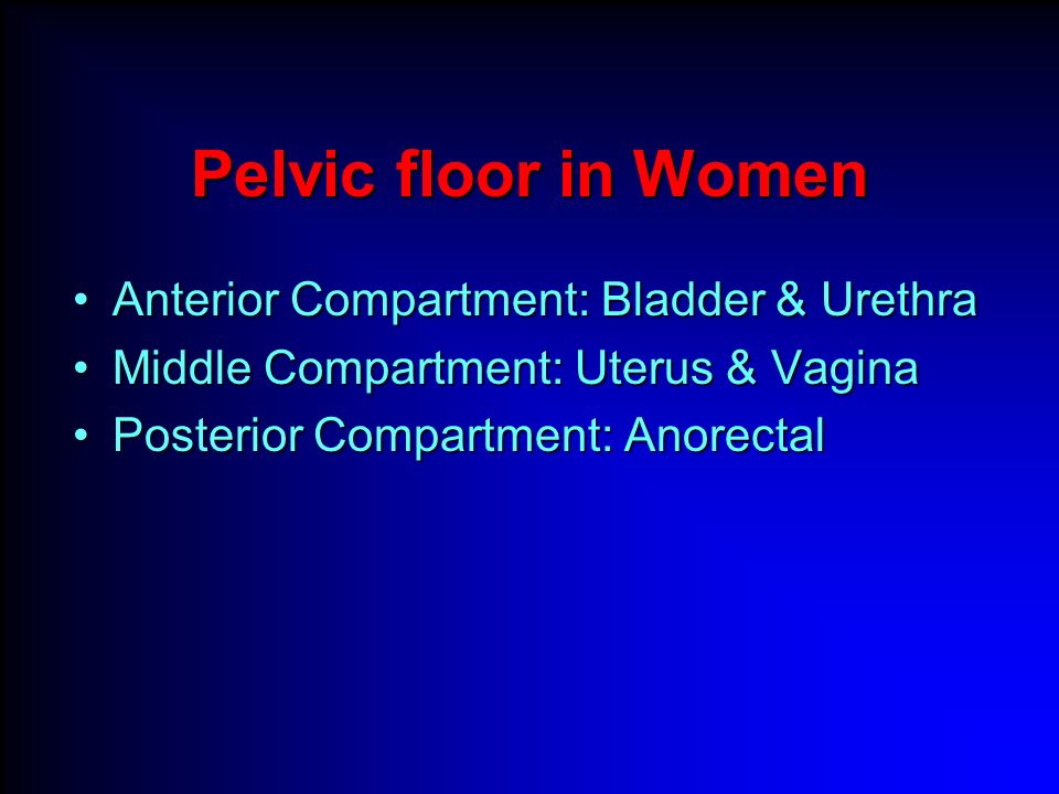 Mri In Pelvic Floor Disorders Ppt Video Online Download